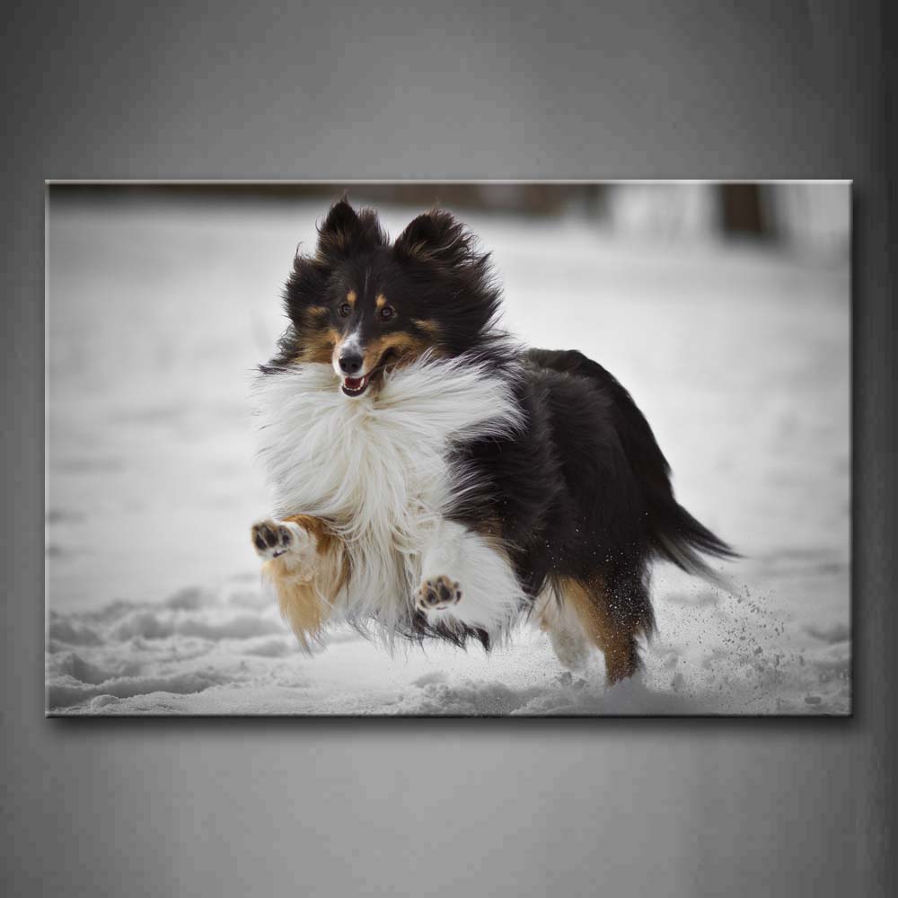 Rough Collie Running In The Snow Wall Art Painting The Picture Print On Canvas Animal Pictures For Home Decor Decoration Gift 