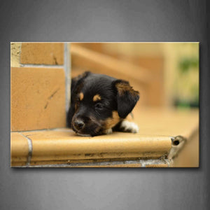 Puppy Bend Over  Wall Art Painting The Picture Print On Canvas Animal Pictures For Home Decor Decoration Gift 