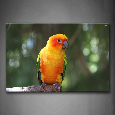 Colorful Parrot Stand On Wood Wall Art Painting Pictures Print On Canvas Animal The Picture For Home Modern Decoration 