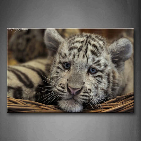 White Tiger In Basket Wall Art Painting The Picture Print On Canvas Animal Pictures For Home Decor Decoration Gift 