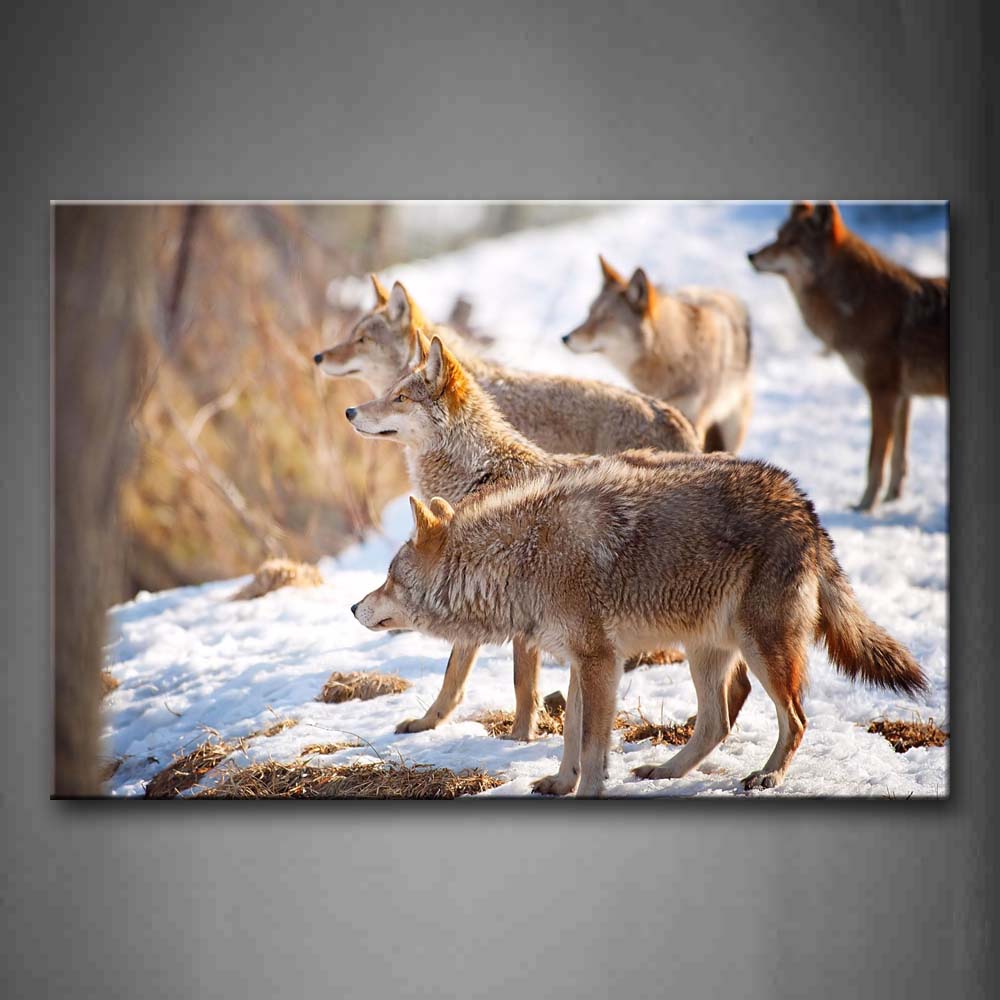 Group Of Wolf Stand On Snowfield Wall Art Painting Pictures Print On Canvas Animal The Picture For Home Modern Decoration 