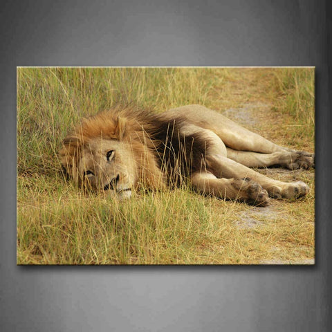 Lion Lie In Grass Small Path Wall Art Painting The Picture Print On Canvas Animal Pictures For Home Decor Decoration Gift 