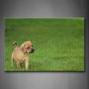 Puppy Stand On Grassland Wall Art Painting Pictures Print On Canvas Animal The Picture For Home Modern Decoration 