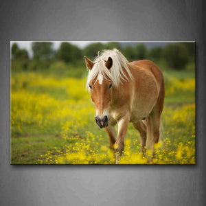 Horse Walk On Anthemy Wall Art Painting The Picture Print On Canvas Animal Pictures For Home Decor Decoration Gift 