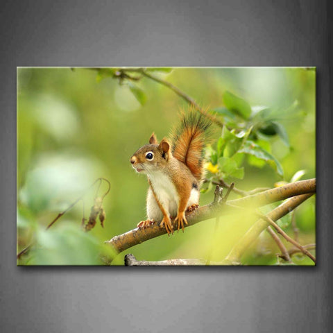 Squirrel Stand On Branch Wall Art Painting Pictures Print On Canvas Animal The Picture For Home Modern Decoration 