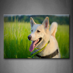 White Dog In Green Grass Wall Art Painting Pictures Print On Canvas Animal The Picture For Home Modern Decoration 