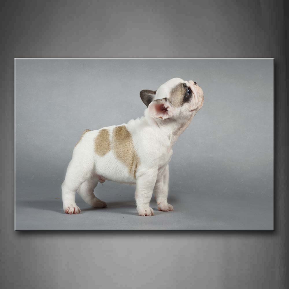 White And Yellow Puppy Stand Gray Background Wall Art Painting Pictures Print On Canvas Animal The Picture For Home Modern Decoration 