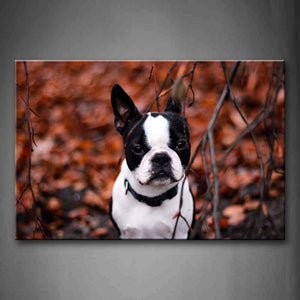 French White And Black Bulldog With Falls Leaf Wall Art Painting The Picture Print On Canvas Animal Pictures For Home Decor Decoration Gift 