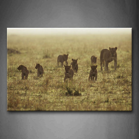 Lions Cub Crowd Walking In The Grass Wall Art Painting Pictures Print On Canvas Animal The Picture For Home Modern Decoration 