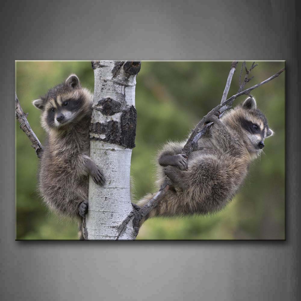 Two Raccoons Climb On Tree Wall Art Painting The Picture Print On Canvas Animal Pictures For Home Decor Decoration Gift 