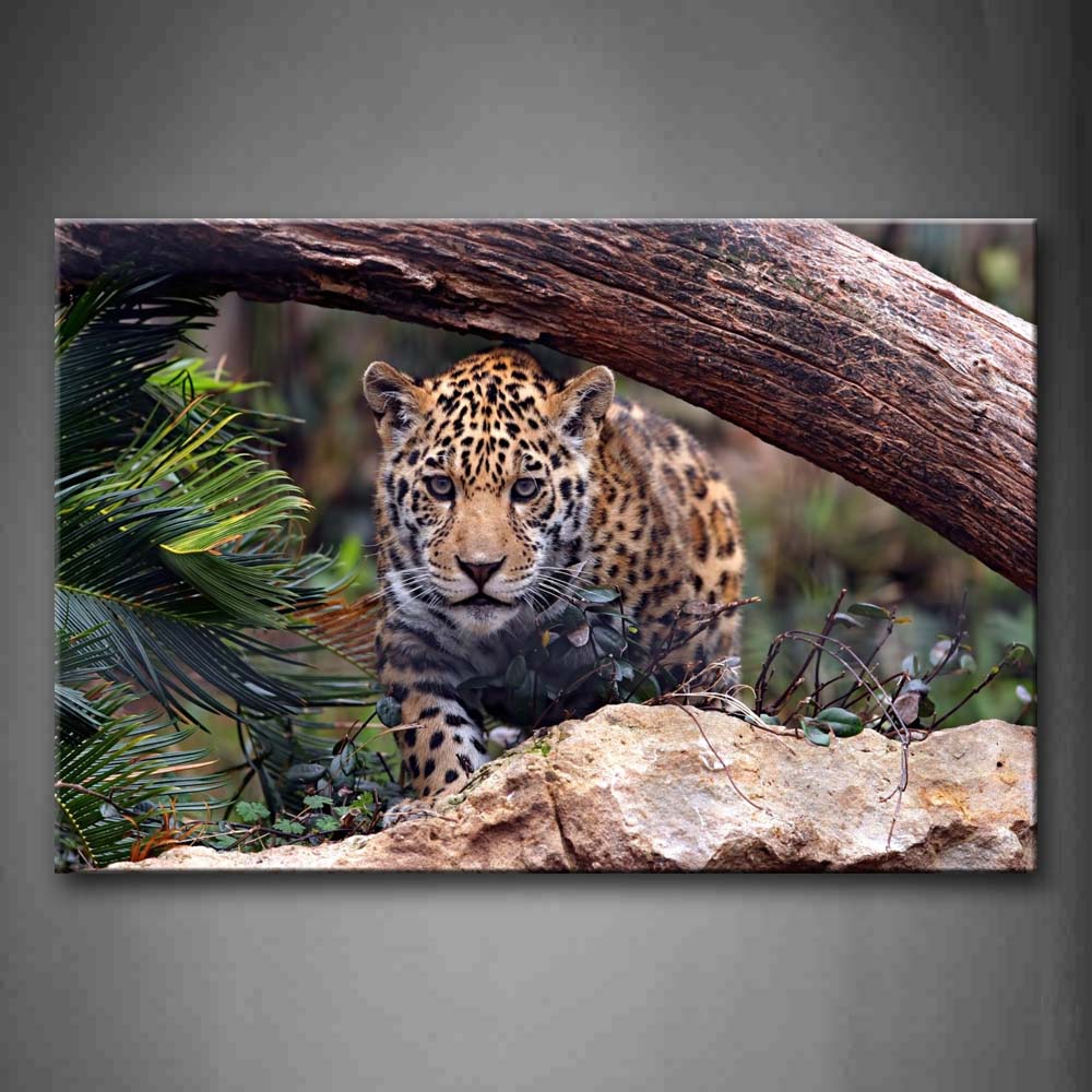 Leopard Walk Under Wood Stone Plant Wall Art Painting Pictures Print On Canvas Animal The Picture For Home Modern Decoration 