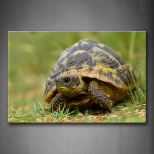 Turtle Crawl On Land Grass Wall Art Painting The Picture Print On Canvas Animal Pictures For Home Decor Decoration Gift 