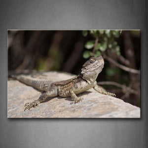 Lizard Crawl On Big Stone  Wall Art Painting Pictures Print On Canvas Animal The Picture For Home Modern Decoration 