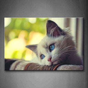 White Cat Bend Over Blanket Wall Art Painting The Picture Print On Canvas Animal Pictures For Home Decor Decoration Gift 