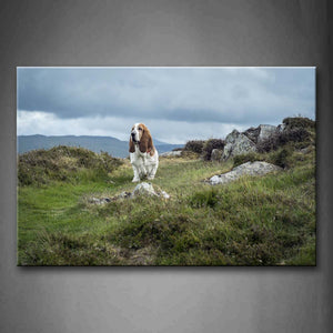 Basset Hound Walk On Lawn Mountain Wall Art Painting Pictures Print On Canvas Animal The Picture For Home Modern Decoration 