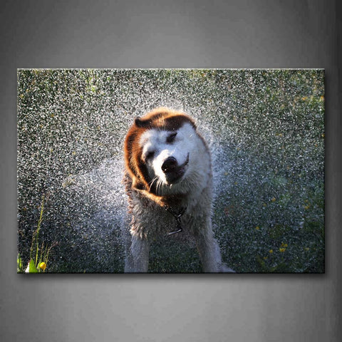 Dog Throw Away Its Body Water Wall Art Painting Pictures Print On Canvas Animal The Picture For Home Modern Decoration 