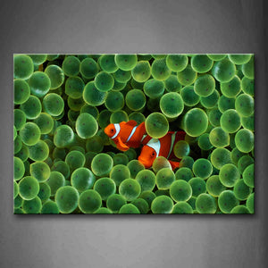 White And Orange Fish With Green Roes Wall Art Painting The Picture Print On Canvas Animal Pictures For Home Decor Decoration Gift 