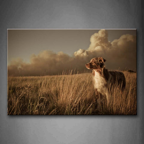 Dog In The Grass Staring With Cloud Wall Art Painting Pictures Print On Canvas Animal The Picture For Home Modern Decoration 