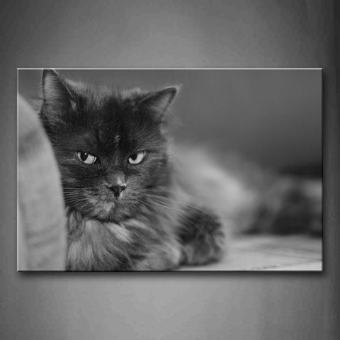 Black And White Black Cat Stare Front  Wall Art Painting Pictures Print On Canvas Animal The Picture For Home Modern Decoration 