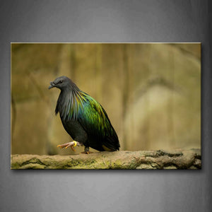 Colorful Bird Is Walking Wall Art Painting The Picture Print On Canvas Animal Pictures For Home Decor Decoration Gift 