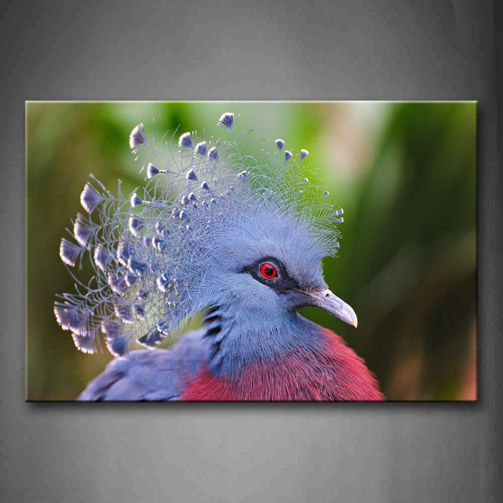 Beautiful Pigeon'S Head  Wall Art Painting Pictures Print On Canvas Animal The Picture For Home Modern Decoration 