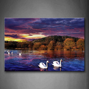 Group Of Swan Swimming On Lake  Tree Hill At Dusk Wall Art Painting The Picture Print On Canvas Animal Pictures For Home Decor Decoration Gift 