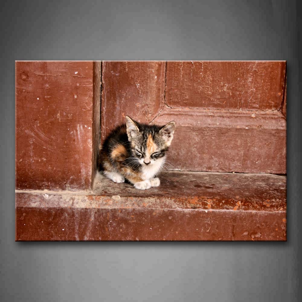 Cat Sit At Doorway Wall Art Painting Pictures Print On Canvas Animal The Picture For Home Modern Decoration 