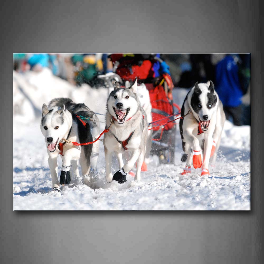 Group Of Husky Drag A People Wall Art Painting The Picture Print On Canvas Animal Pictures For Home Decor Decoration Gift 