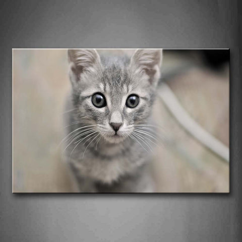 Lovely Cat With White Beard Staring Wall Art Painting The Picture Print On Canvas Animal Pictures For Home Decor Decoration Gift 