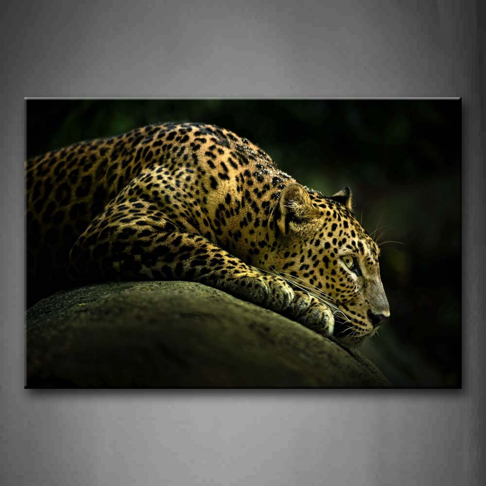 Leopard Bend Over On Rock Wall Art Painting Pictures Print On Canvas Animal The Picture For Home Modern Decoration 