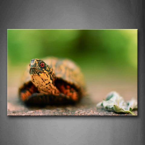 Turtle Only Stretch Head On Land Wall Art Painting Pictures Print On Canvas Animal The Picture For Home Modern Decoration 