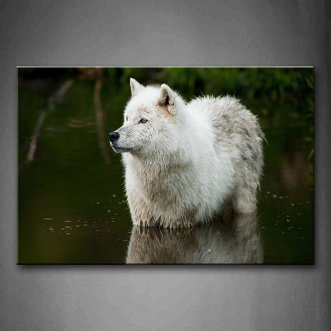 White Wolf In Water Wall Art Painting The Picture Print On Canvas Animal Pictures For Home Decor Decoration Gift 