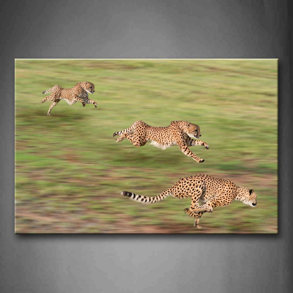 Three Cheetahs Are Running On Grassland Wall Art Painting The Picture Print On Canvas Animal Pictures For Home Decor Decoration Gift 