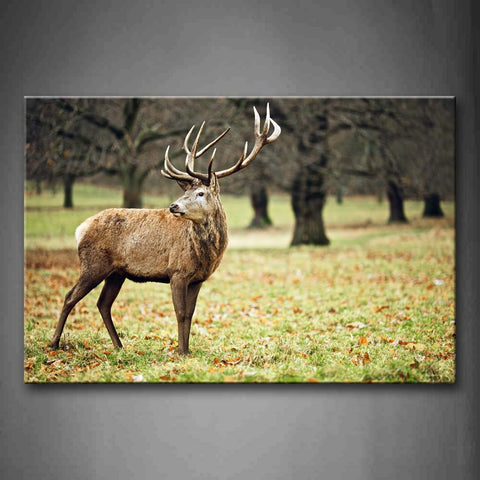 Deer Stand On Lawn Fallen Leafs Tree Wall Art Painting The Picture Print On Canvas Animal Pictures For Home Decor Decoration Gift 