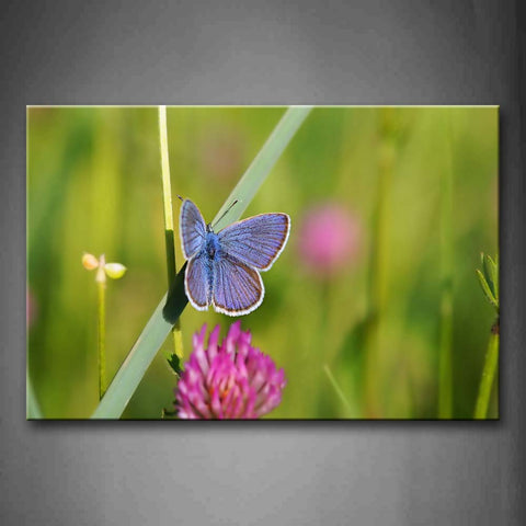 Blue Butterfly Stand A Green Leaf Near A Flower Wall Art Painting Pictures Print On Canvas Animal The Picture For Home Modern Decoration 