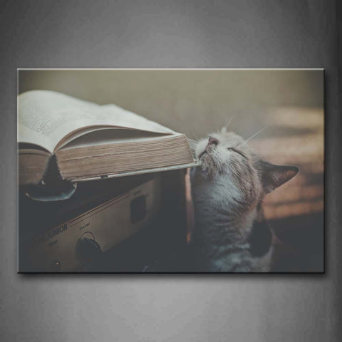 Cat Raise Head To Smell A Old Book Wall Art Painting Pictures Print On Canvas Animal The Picture For Home Modern Decoration 