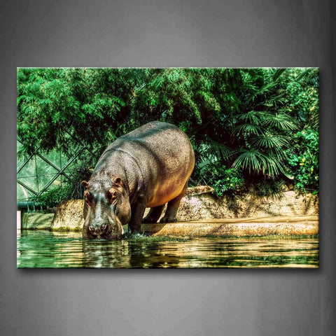 Hippo Stand River Bank And To Drink Water Tree Wall Art Painting The Picture Print On Canvas Animal Pictures For Home Decor Decoration Gift 