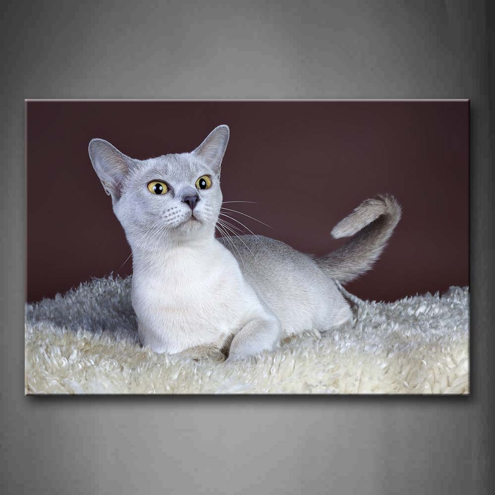 Gray Cat Sit On White Blanket Wall Art Painting Pictures Print On Canvas Animal The Picture For Home Modern Decoration 