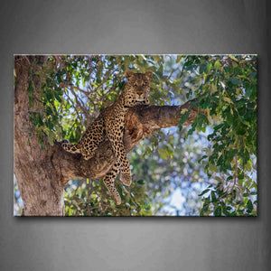 A Leopard Sit At Big Tree Wall Art Painting The Picture Print On Canvas Animal Pictures For Home Decor Decoration Gift 