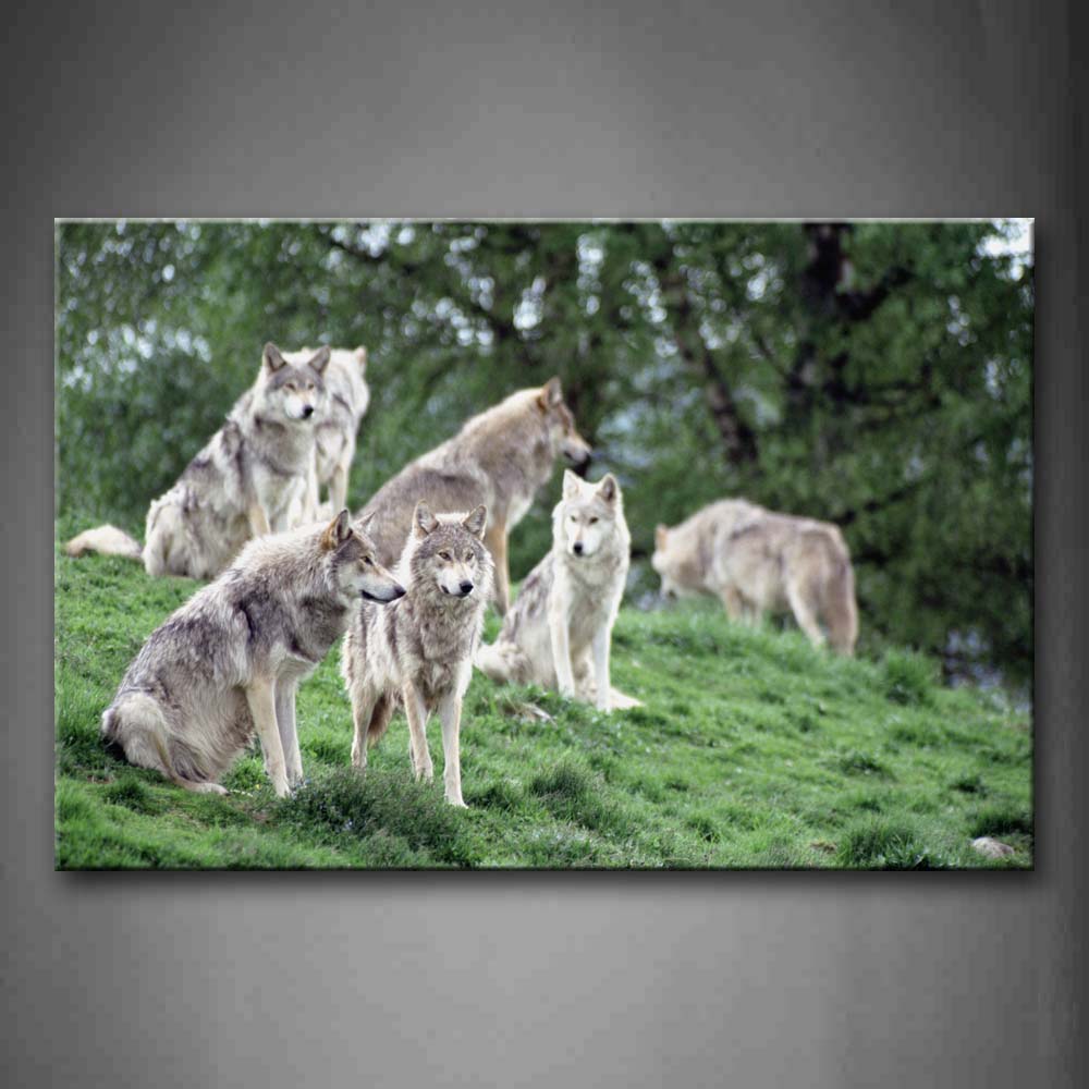 Group Of Wolf Sit On Green Grassland Trees Wall Art Painting The Picture Print On Canvas Animal Pictures For Home Decor Decoration Gift 