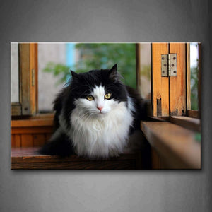 White And Black Cat Sitat Sill Wall Art Painting Pictures Print On Canvas Animal The Picture For Home Modern Decoration 