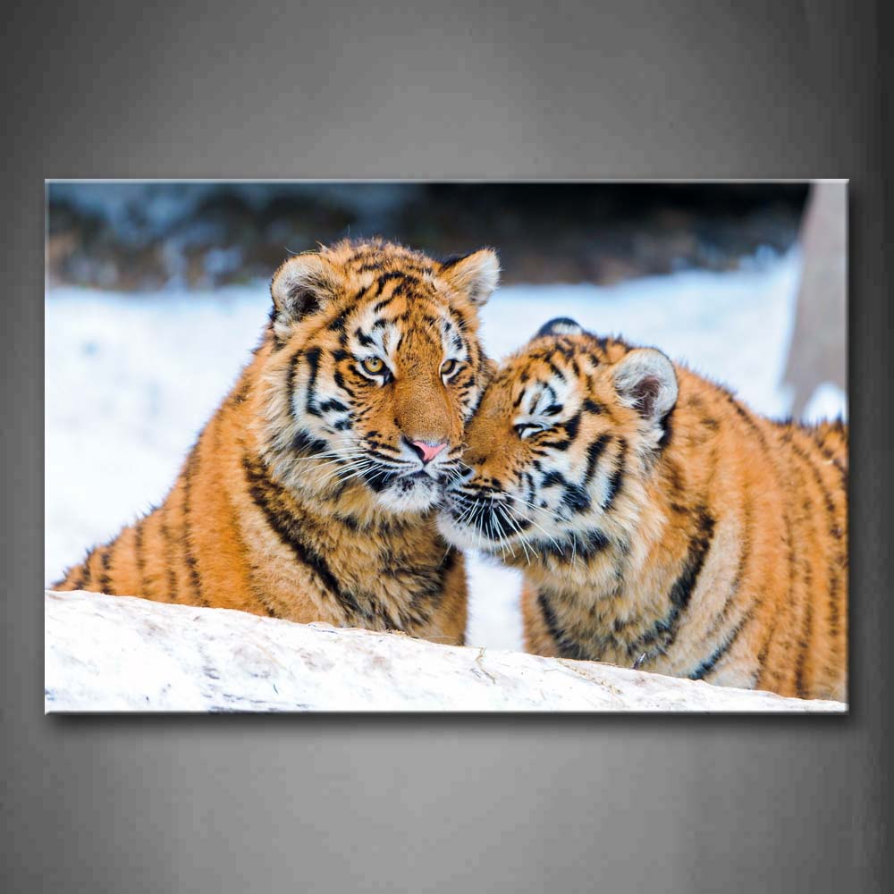 Two Tigers Stand On Snowfield Wall Art Painting Pictures Print On Canvas Animal The Picture For Home Modern Decoration 