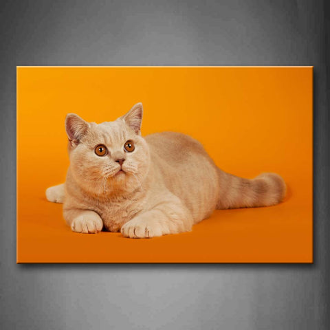 Yellow Orange Cat In Orange Background Wall Art Painting Pictures Print On Canvas Animal The Picture For Home Modern Decoration 