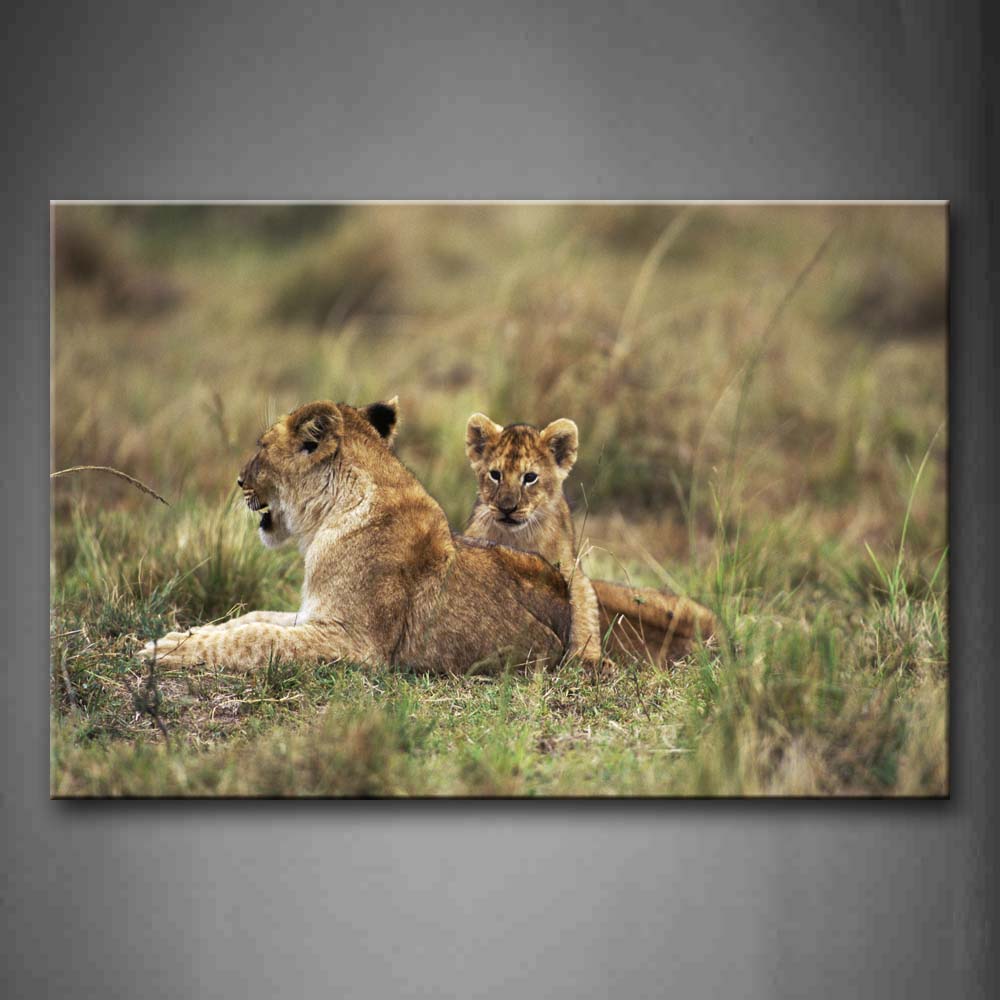 Lions Lying Down In Grass Staring Wall Art Painting The Picture Print On Canvas Animal Pictures For Home Decor Decoration Gift 