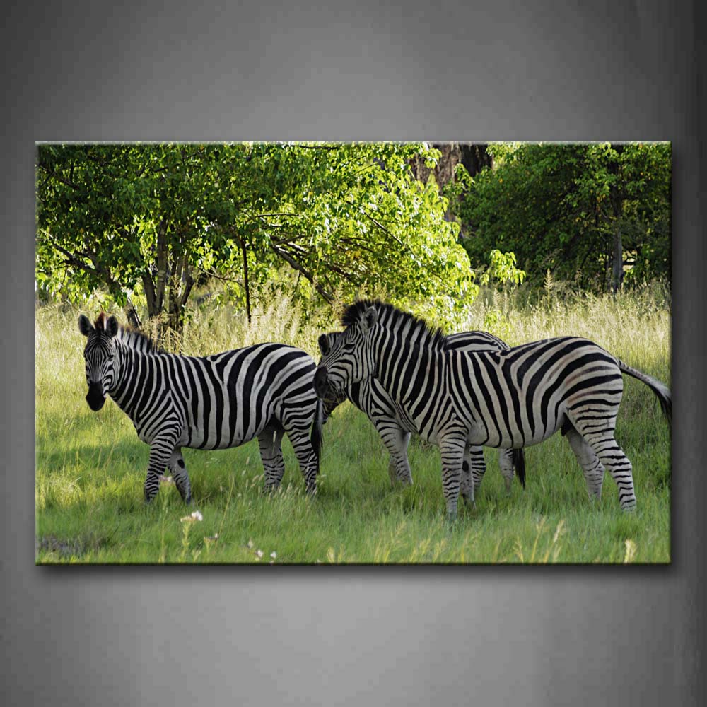 Three Zebras Stand On Grass Trees Wall Art Painting Pictures Print On Canvas Animal The Picture For Home Modern Decoration 