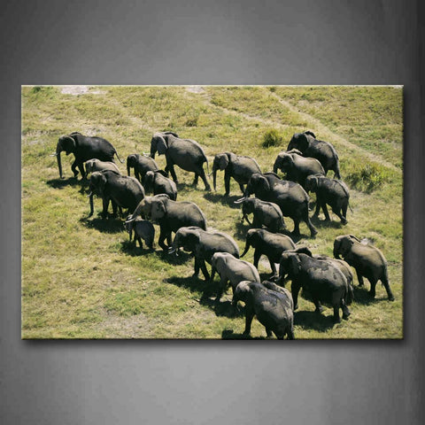 Group Of Elephants Walk On Grassland Wall Art Painting Pictures Print On Canvas Animal The Picture For Home Modern Decoration 