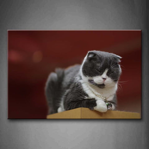 Gray Cat Bend Over Carton Wall Art Painting The Picture Print On Canvas Animal Pictures For Home Decor Decoration Gift 