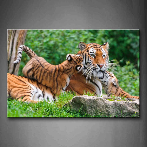 Mother Tiger And Cub Play On Grass Tree Rock Wall Art Painting The Picture Print On Canvas Animal Pictures For Home Decor Decoration Gift 