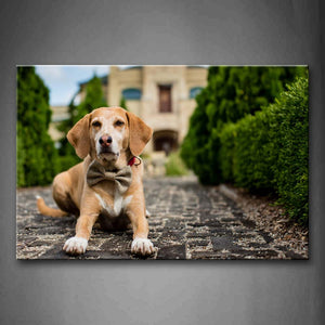 Dog With Bowknot Sitting At Road Side Tree Wall Art Painting Pictures Print On Canvas Animal The Picture For Home Modern Decoration 