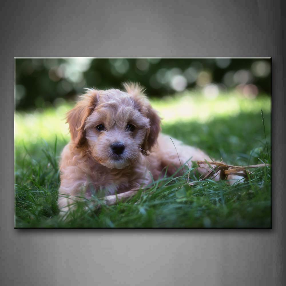 Dog Bend Over Grassland Wall Art Painting The Picture Print On Canvas Animal Pictures For Home Decor Decoration Gift 